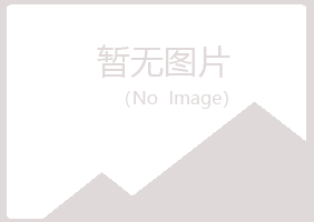 滨州夏日建筑有限公司